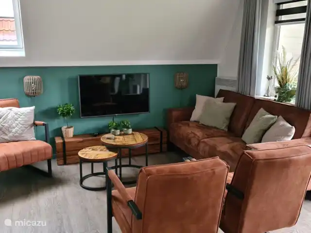 Ambiente y desmontaje en el parque de vacaciones en Países Bajos, Overijssel, Gramsbergen - casa vacacional La acogedora sala de estar. Se han instalado 3 claraboyas en el salón, lo que aporta un extra de luminosidad a la vivienda