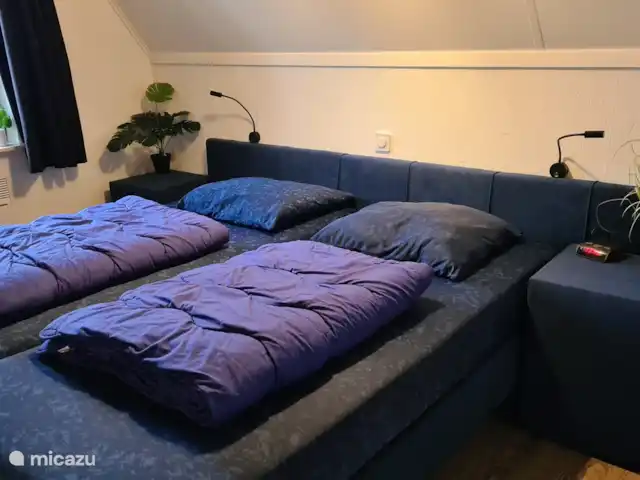 Ambiente y desmontaje en el parque de vacaciones en Países Bajos, Overijssel, Gramsbergen - casa vacacional Dormitorio en la planta baja con 2 cómodas camas con somier