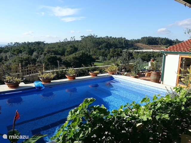 Vakantiehuis Portugal, Ribatejo, Junceira - vakantiehuis Casa da Colina, met privé zwembad 