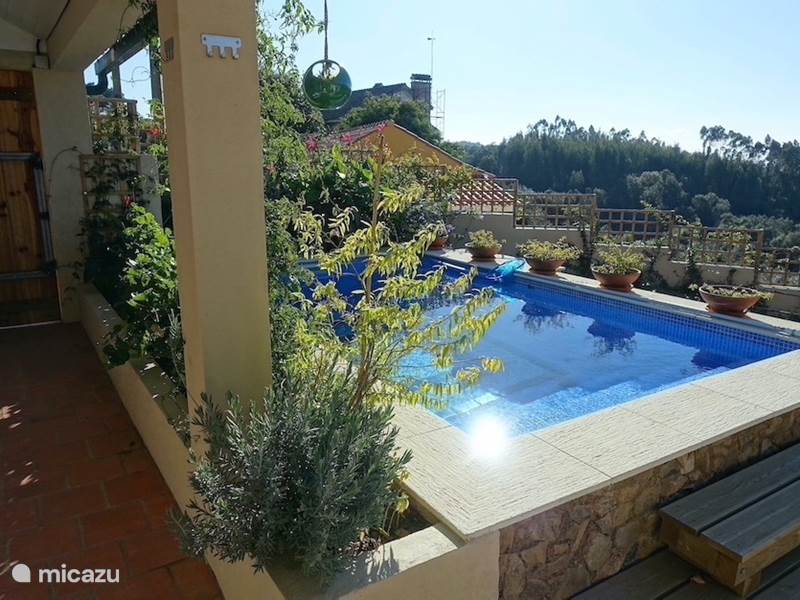 Vakantiehuis Portugal, Ribatejo, Junceira Vakantiehuis Casa da Colina, met privé zwembad 