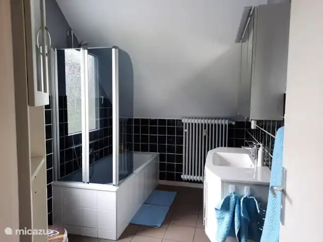 Apartamento B en Biersdorf am See en Alemania, Eifel, Biersdorf - apartamento baño