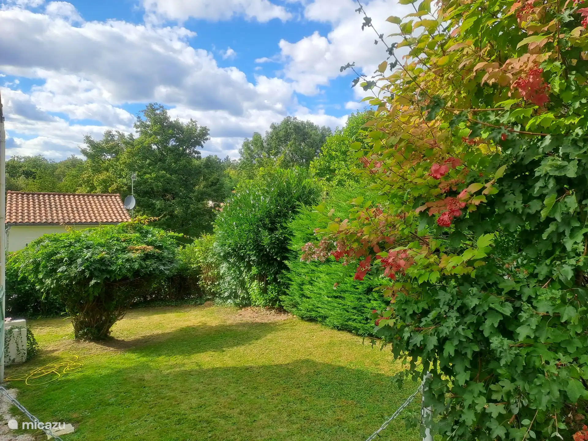 Alles um dich herum schön grün. Eins mit der Natur