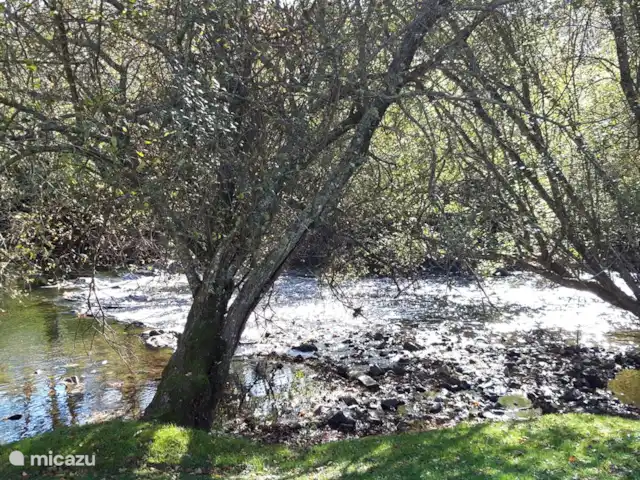 Tinkers Bell en Francia, Charente, Écuras - casa vacacional El Tardoire! Más adelante se puede navegar en kayak o canoa por este río.