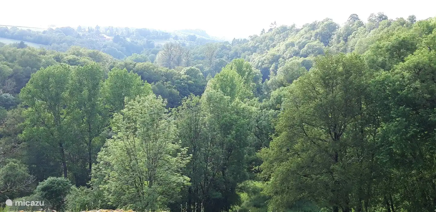 Schöne Grünanlage, wo Sie die Ruhe und Natur genießen können.