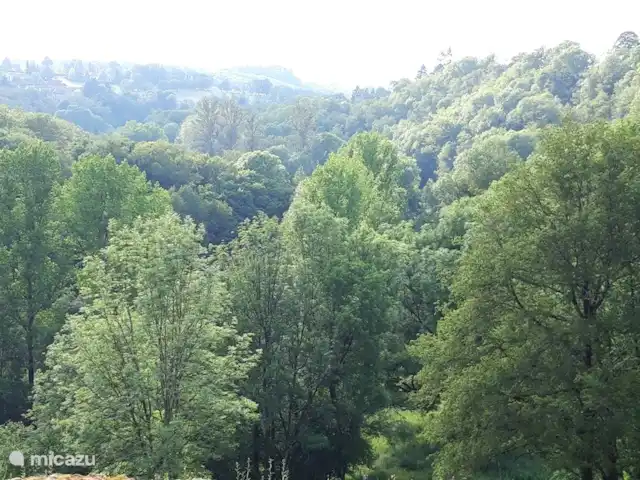 Tinkers Bell en Francia, Charente, Écuras - casa vacacional Hermoso entorno verde, donde podrá disfrutar de la paz y la naturaleza.