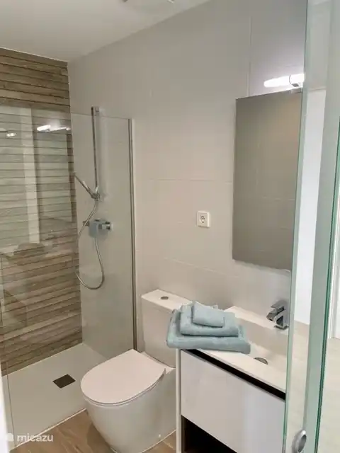 Badkamer bij de masterbedroom.