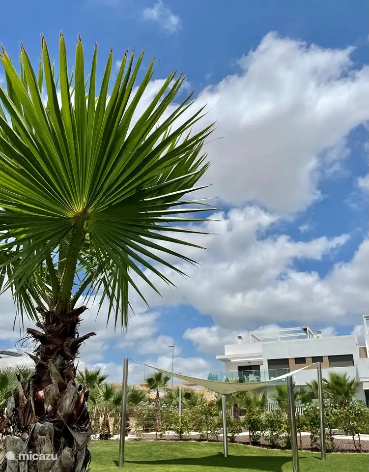 Zonnetent aan het zwembad 