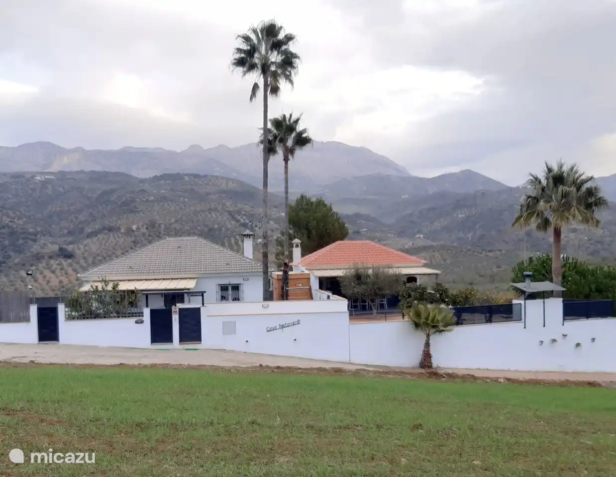 Johnny,Zwanet en Noël Gebert