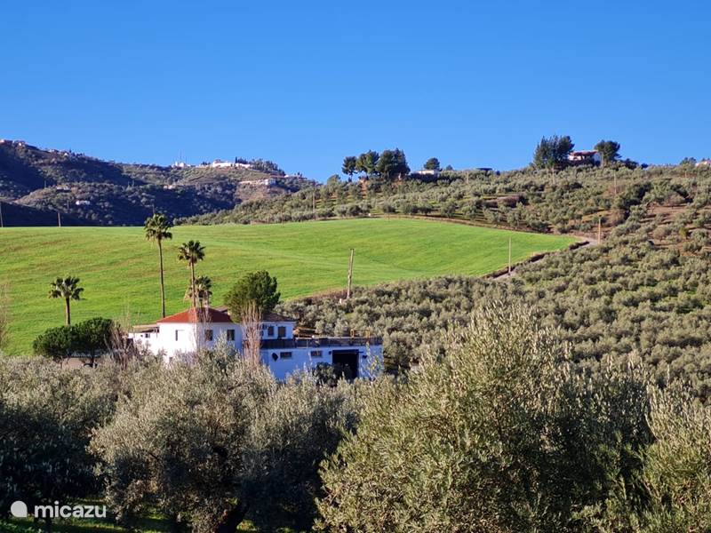 Holiday home in Spain, Andalusia, Colmenar Holiday house Casa Metaverdic