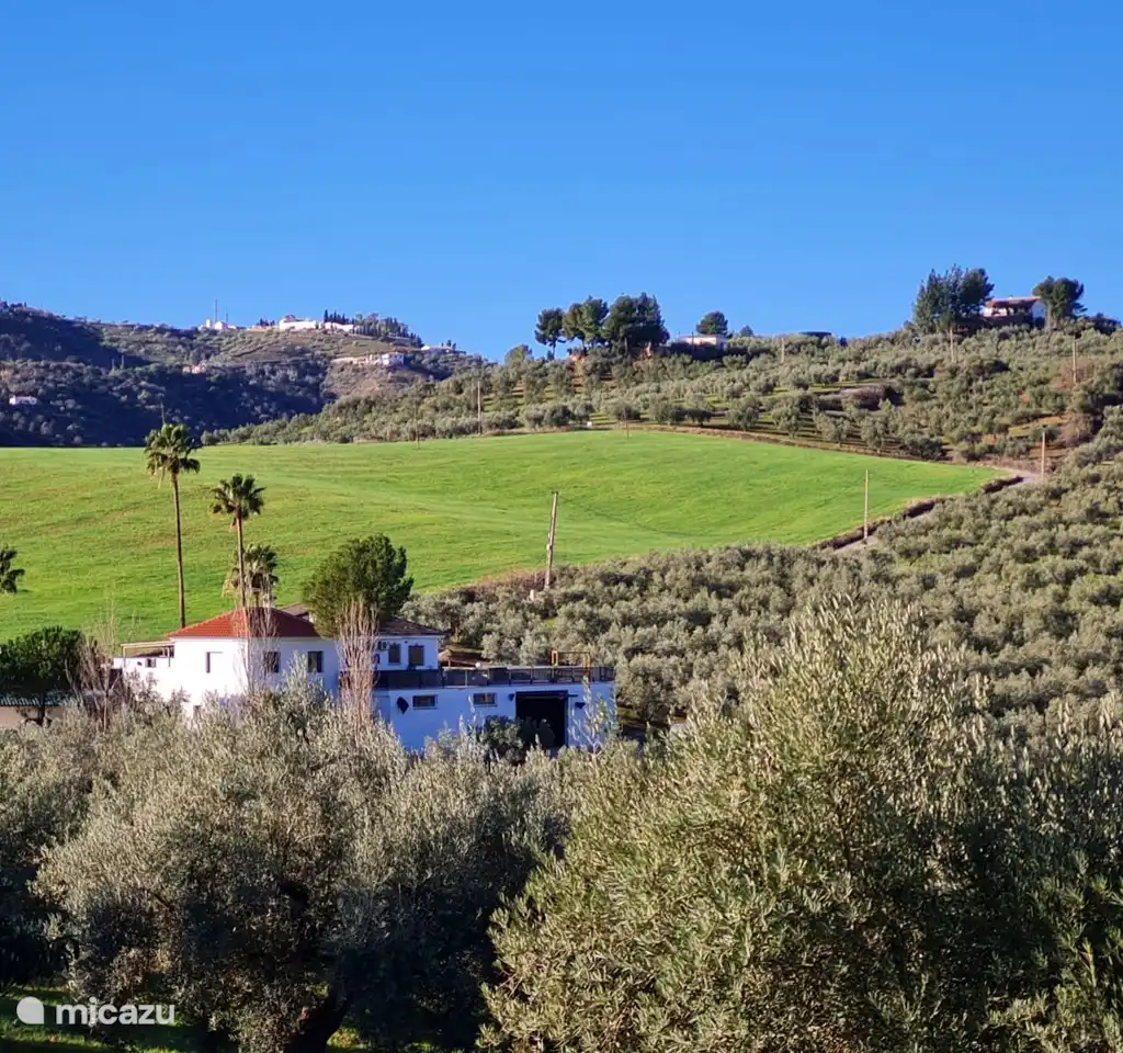 Casa Metaverdi