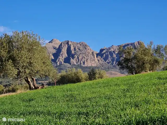 Casa Metaverdi en España, Andalucía, Colmenar  - casa vacacional