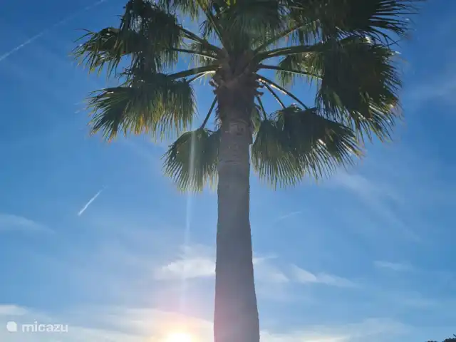 Casa Metaverdi en España, Andalucía, Colmenar  - casa vacacional