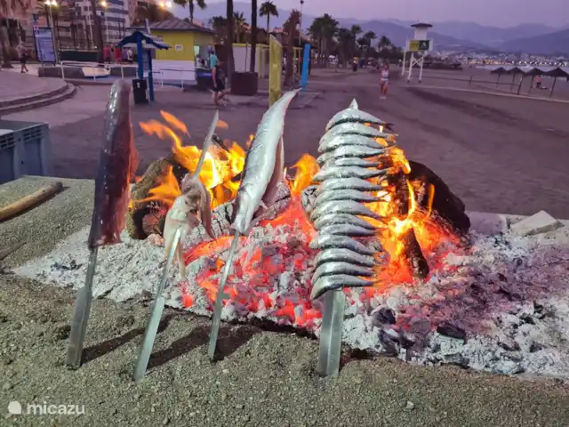 Casa Metaverdi en España, Andalucía, Colmenar  - casa vacacional