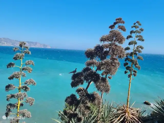 Casa Metaverdi en España, Andalucía, Colmenar  - casa vacacional