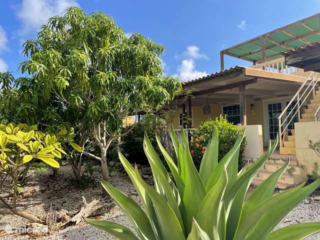 Vakantiehuis Bonaire, Bonaire, Santa Barbara - vakantiehuis Vakantiehuis op Bonaire