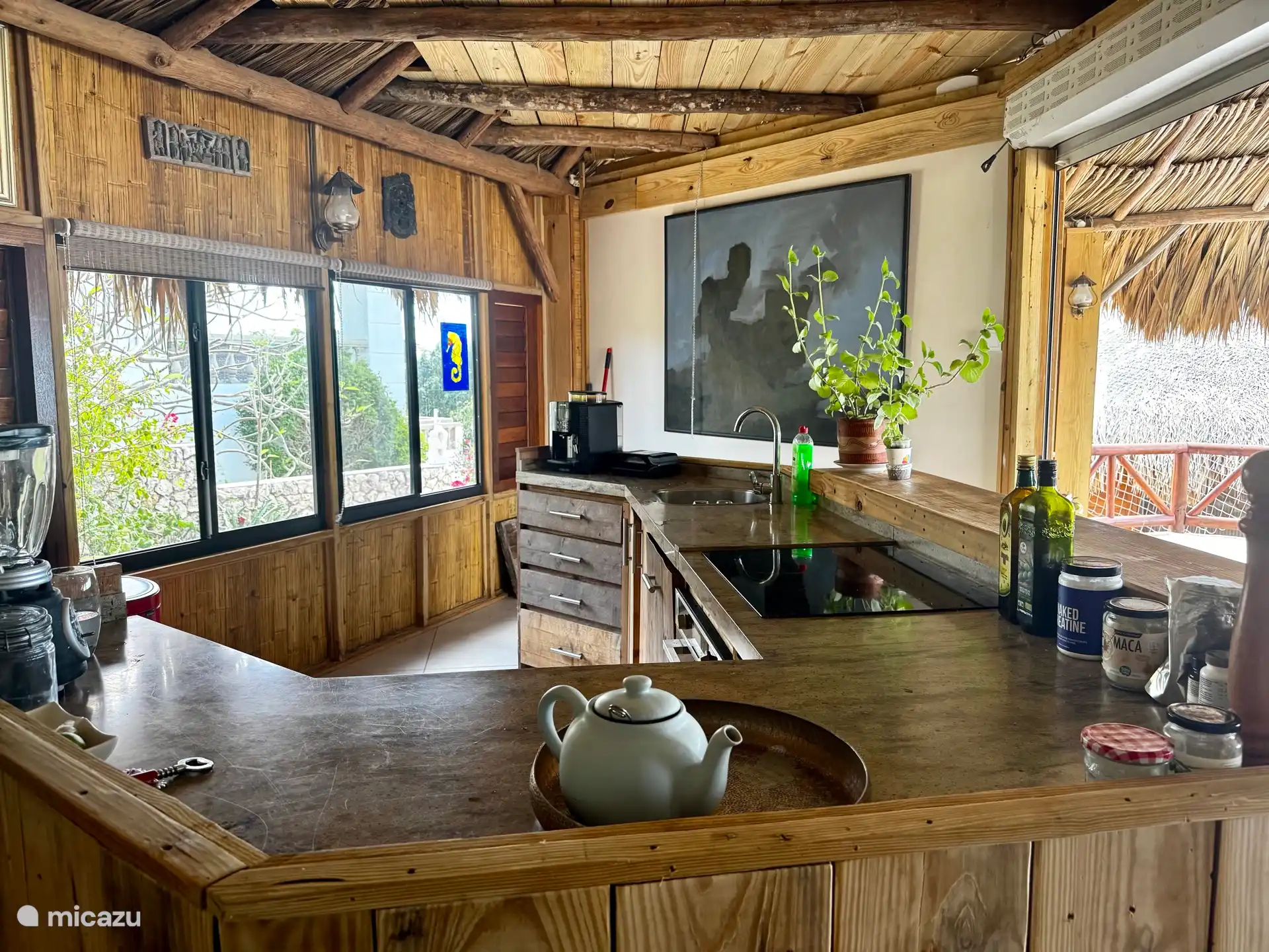 Full kitchen, cooking with sea view