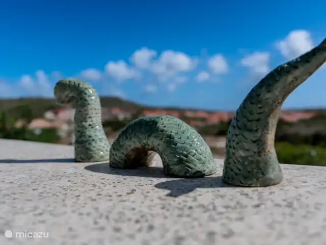 Kas Berdè *Nouvellement construit* | Curaçao, Banda Abou (ouest), Fontein - villa Dino entrant @ la piscine
