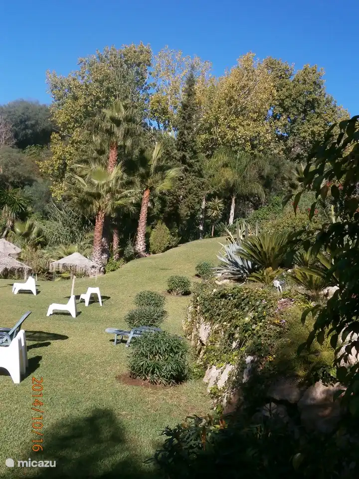 Der Garten mit Sonnenschirmen und Gartenstühlen