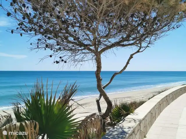 apartamento en España, Costa Dorada, Mont-Roig del Camp – El sueño Boulevard justo en frente del apartamento