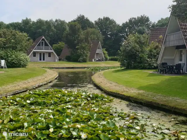 Maison de vacances confortable 't Gramsbergje | Pays-Bas, Overijssel, Gramsbergen - maison de vacances Vue sur l’étang.
