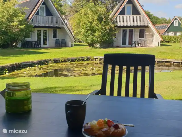 Maison de vacances confortable 't Gramsbergje | Pays-Bas, Overijssel, Gramsbergen - maison de vacances La vue sur l’étang, vue depuis la terrasse.