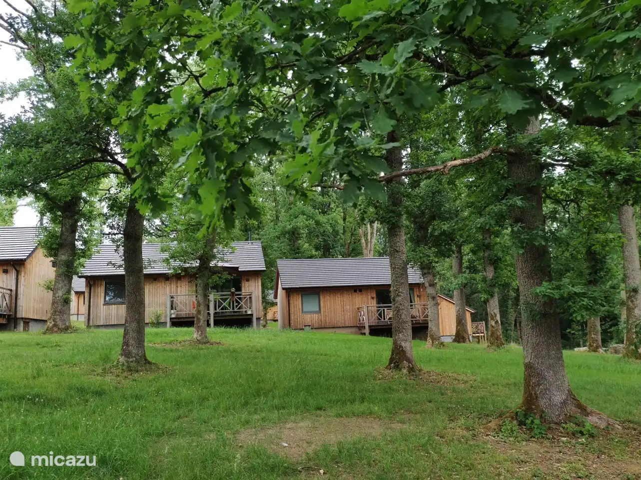 Chalet 196 im Wald von Ourthe in Belgien, Ardennen, Heure - chalet