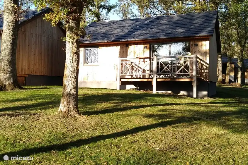 Chalet 196 au bois de l'Ourthe