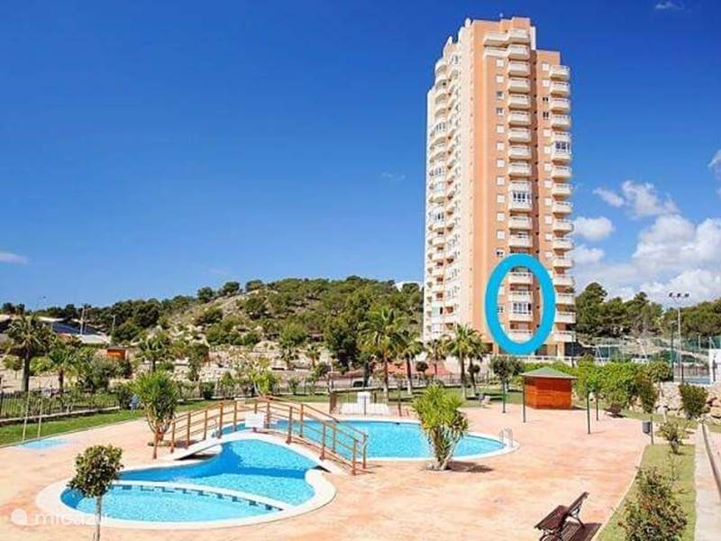 Holiday home in Spain, Costa Blanca, Benidorm Apartment Benidorm Jardin