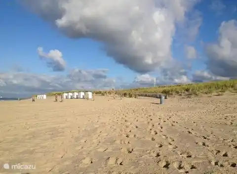 der schöne Strand von Zeeuws Vlaanderen