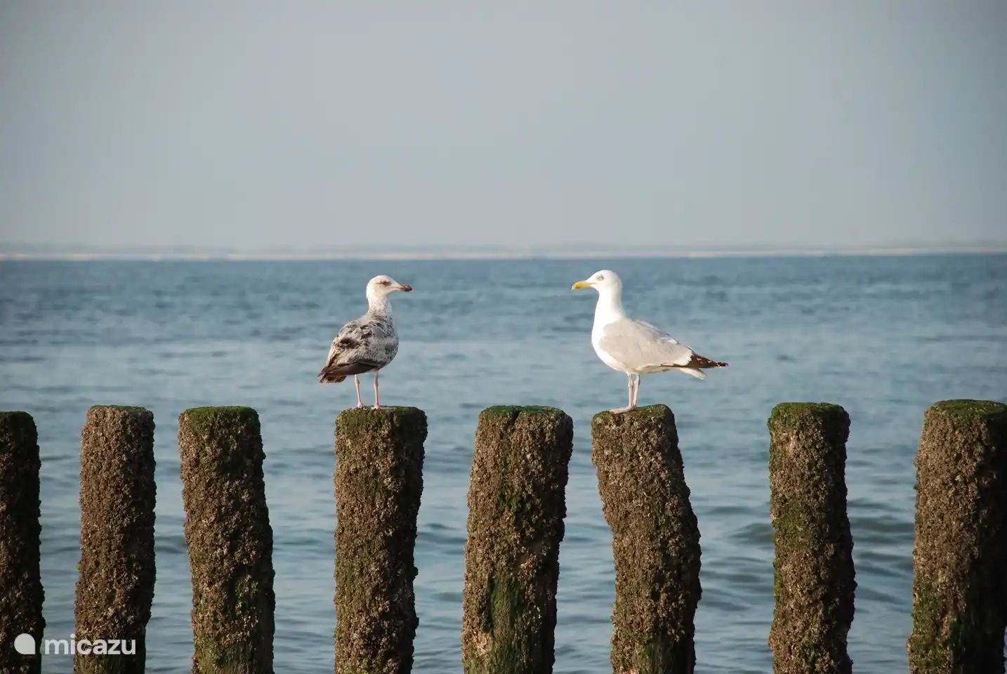 Strand Ruhe und Weite genießen