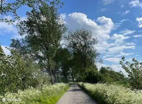 Genießen Sie den Westdijk in voller Blüte, mit nur Zielverkehr