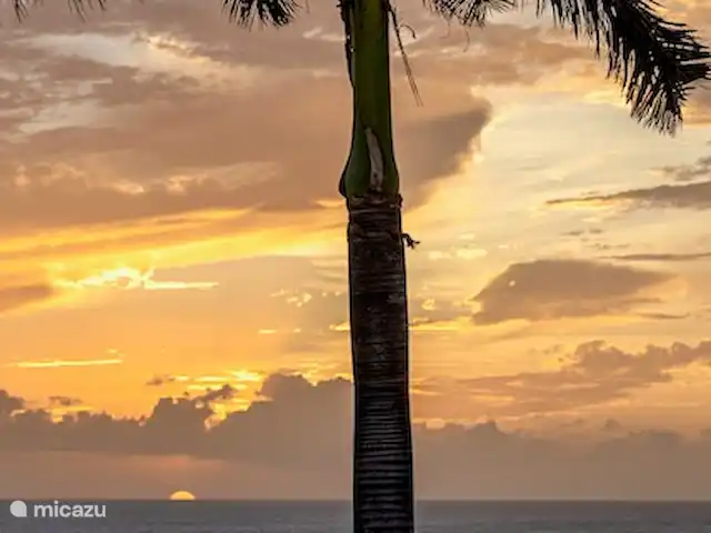villa huren in Curaçao, Banda Ariba (oost), Jan Thiel – Villa Palmaris De zonsondergang verveelt nooit