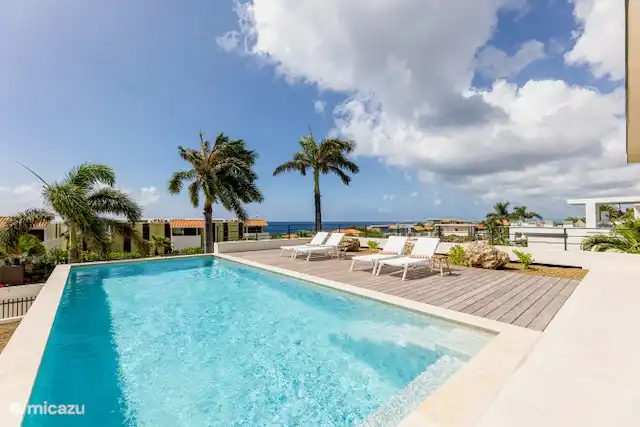 Profitez de la grande terrasse et de la piscine de ± 200m2 en optima forma