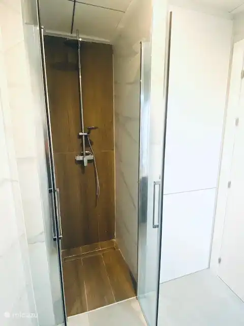 Baño con ducha efecto lluvia y lavadora