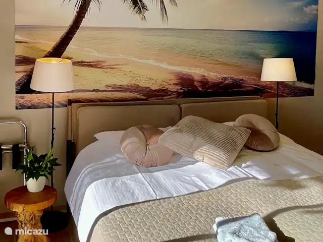 Location de Vacances France, Hérault, Oupia, chambres d'hôtes - Marie Jean Chambre d'hotes Du Jardin La chambre est équipée de la climatisation