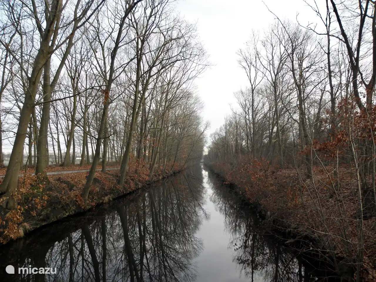 in der Nähe spazieren gehen