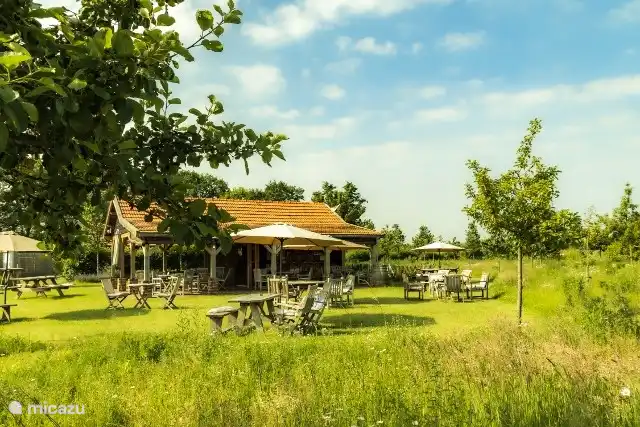 Terrasse Erntegarten