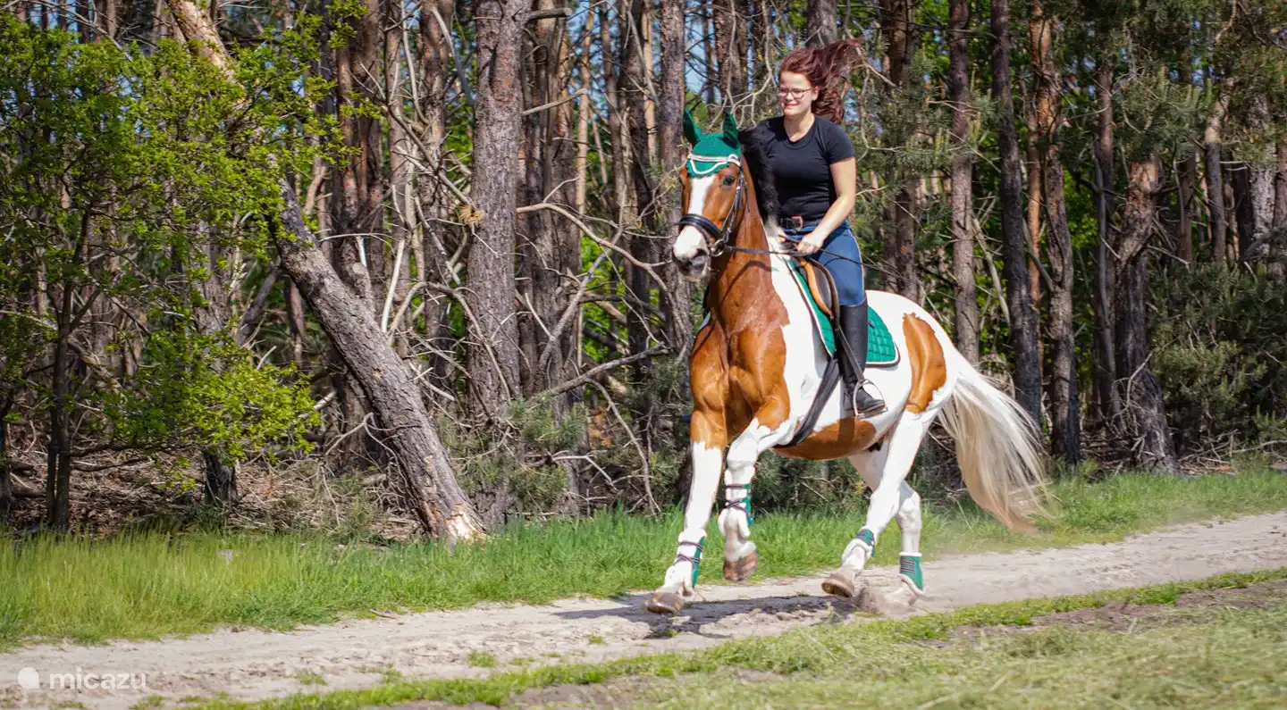 Urlaub mit Ihrem Pferd