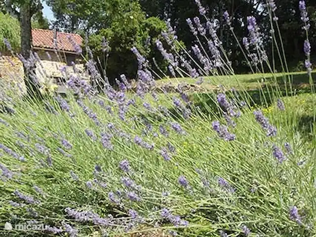 Arc en ciel | France, Dordogne, Sauveterre-la-Lémance - gîte / cottage Photo de détail