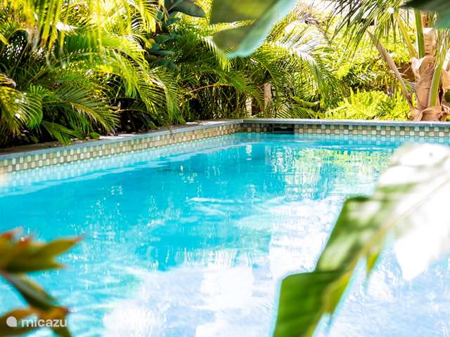 Ferienwohnung Curaçao – appartement Luxusvilla Miali Wohnung 2