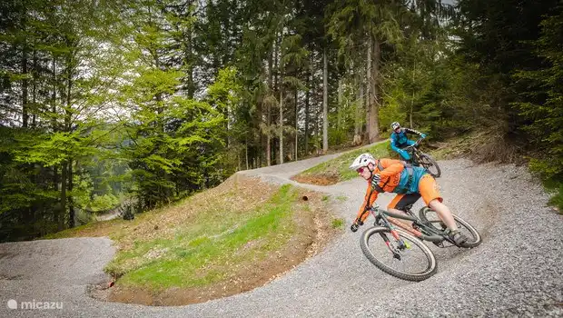 Bicicleta de montaña
