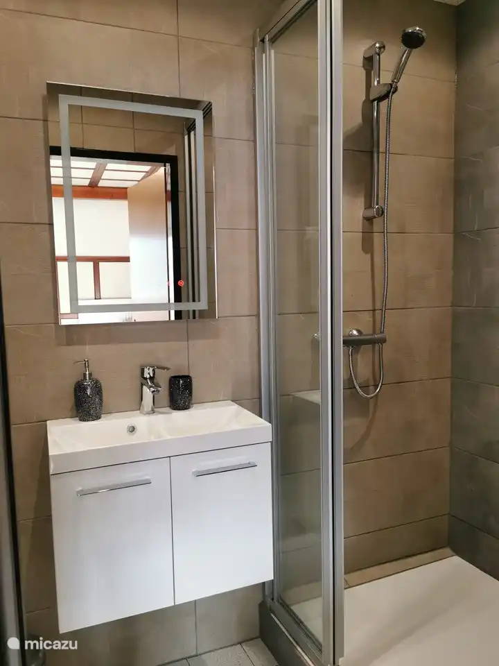 Cuarto de baño moderno con ducha grande