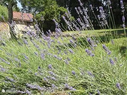 Stimmungsvolles Foto