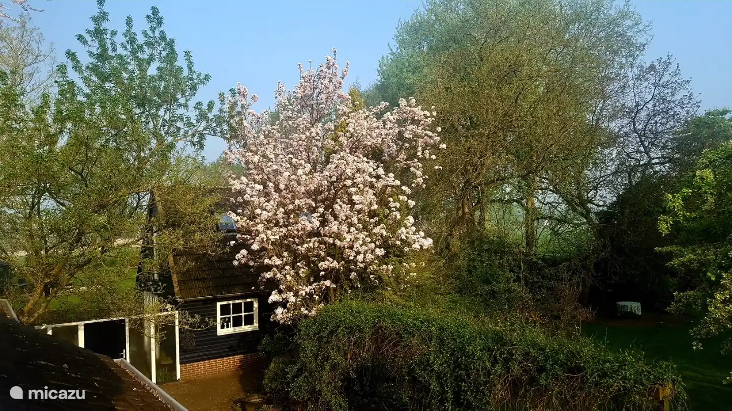 aus unserem eigenen Haus