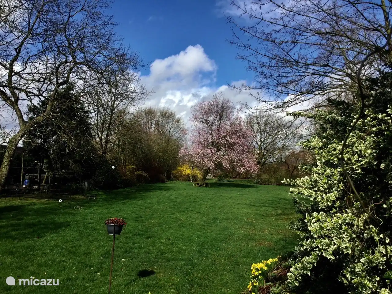 Unser Garten im Frühling