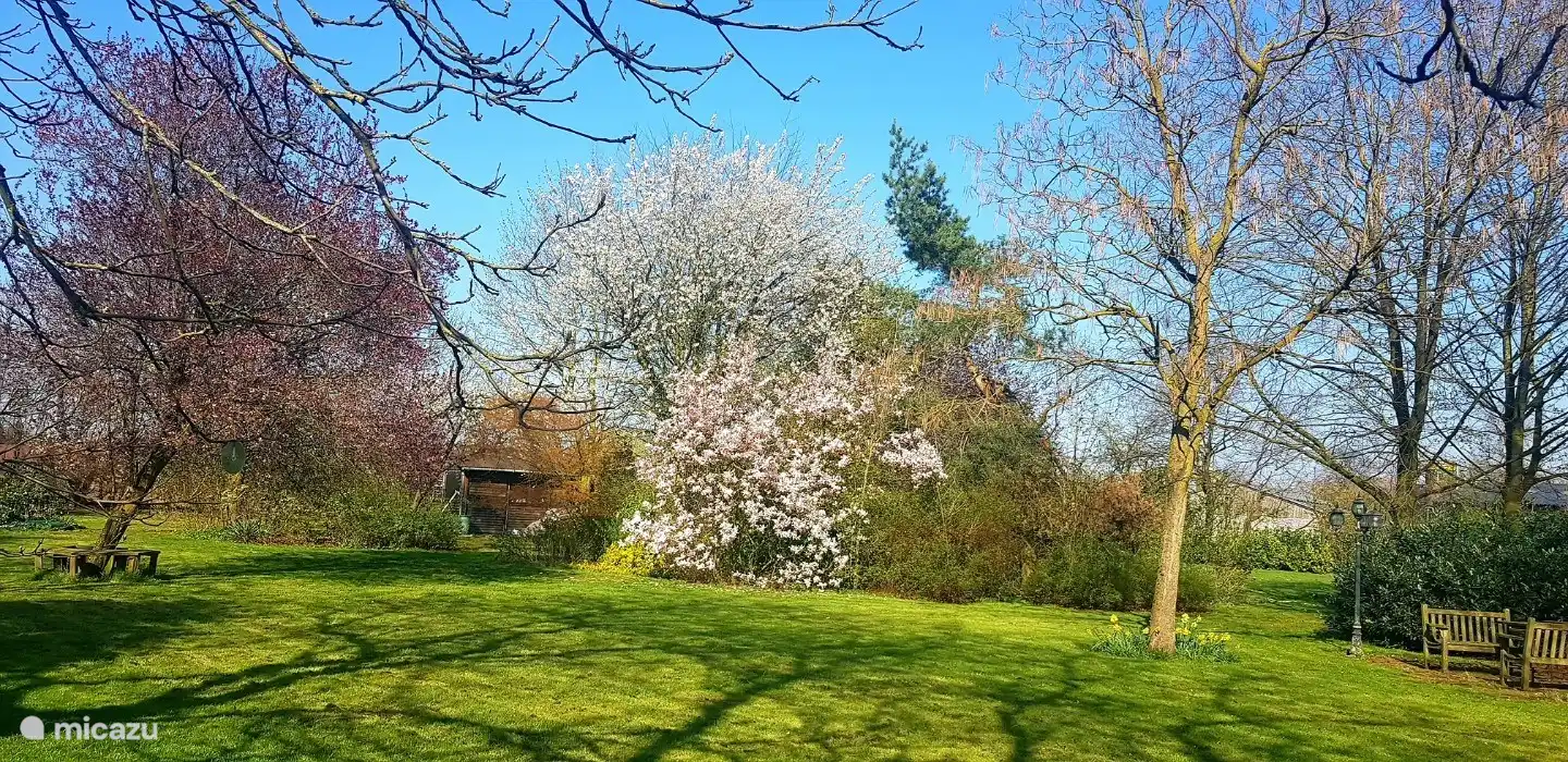 unser Garten auch für unsere Gäste