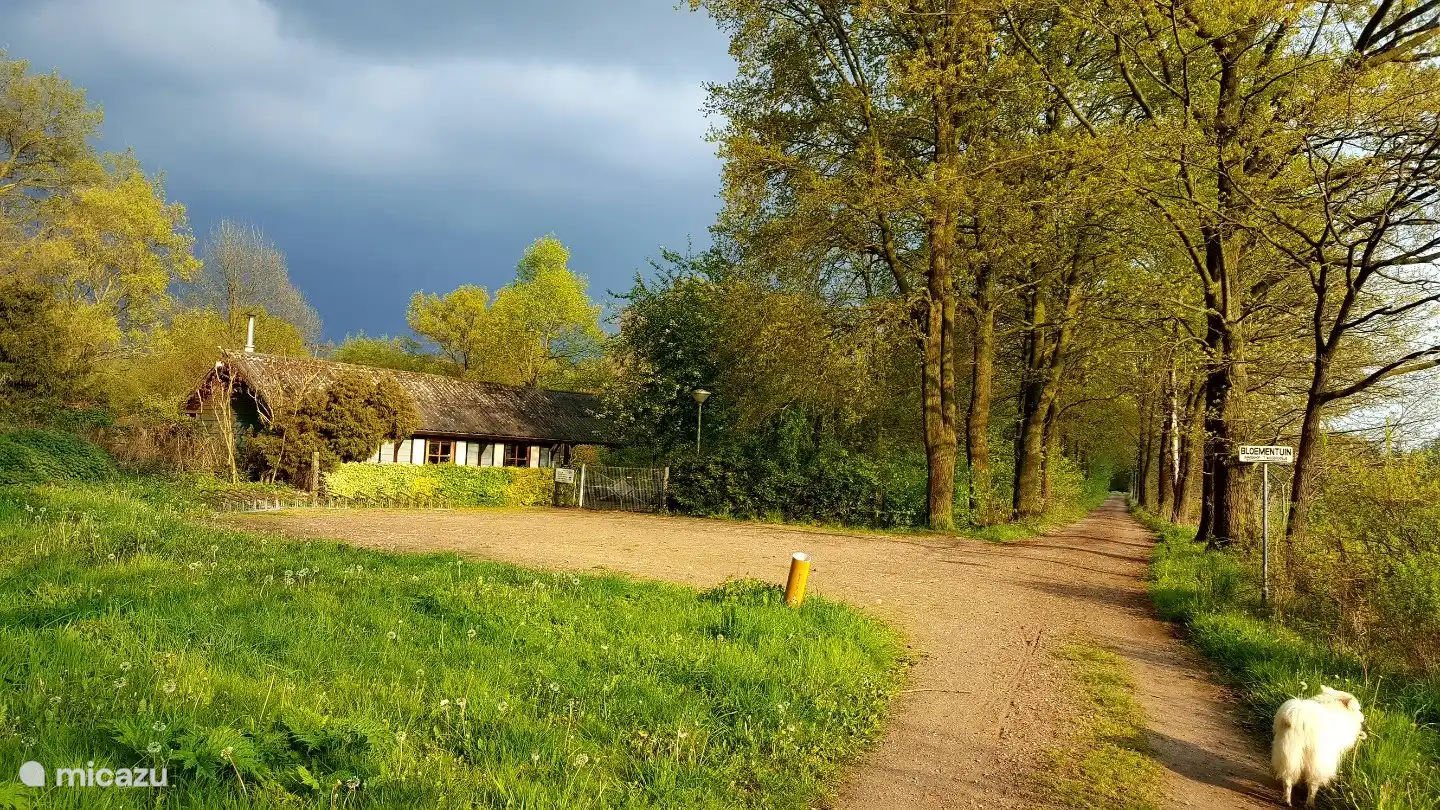 der Immenhof ist ein Bienengarten in 15 Minuten zu Fuß. Immer offen für Besucher.