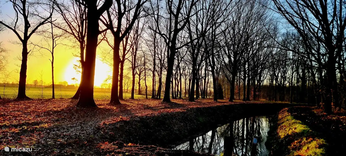 Builder Broek (zu Fuß erreichbar)