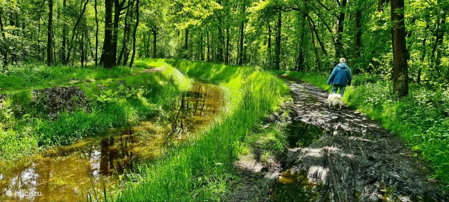 Bulder Broek (zu Fuß erreichbar)