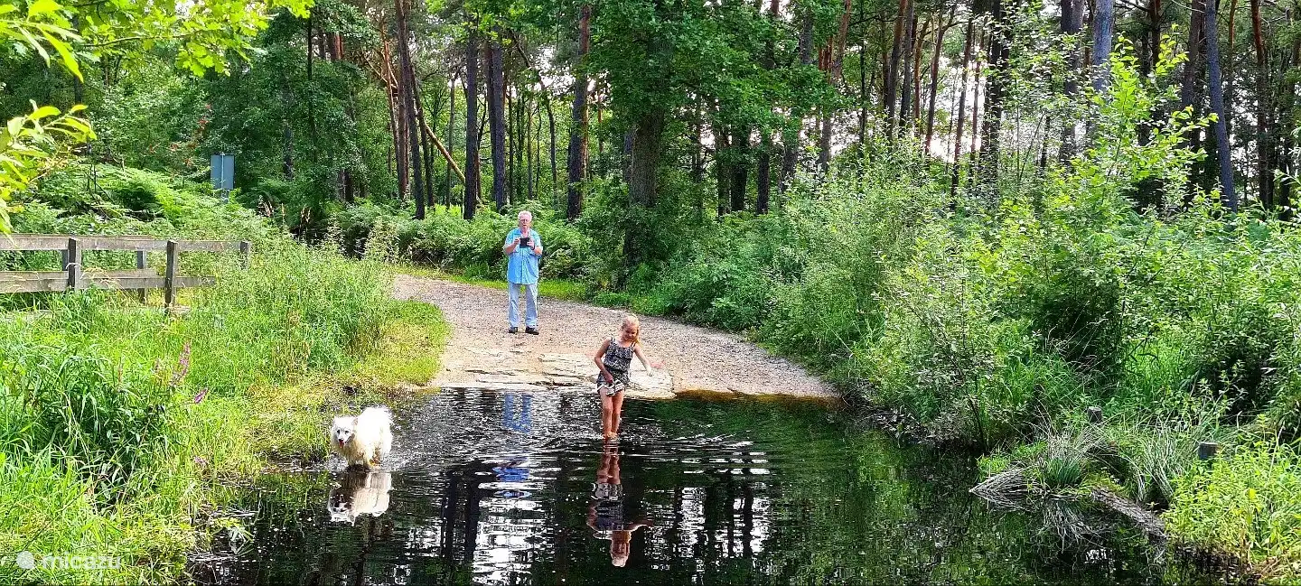 Eine Furt im Cranendonckse Bos. Eine Viertelstunde mit dem Fahrrad.